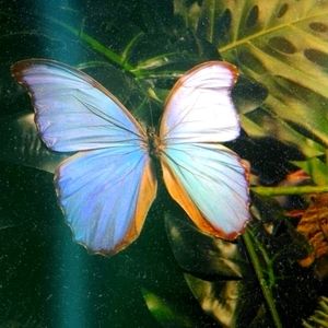 Meet your Posher, Aiko